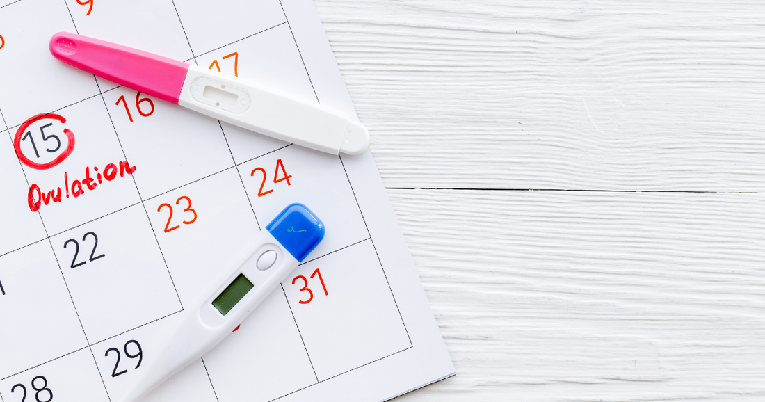 Faint Line on an Ovulation Test? Here’s What It Means
