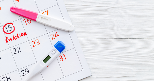 Faint Line on an Ovulation Test? Here’s What It Means