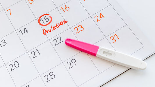 Crucial Insights: Using Ovulation Tests for Fertility Monitoring