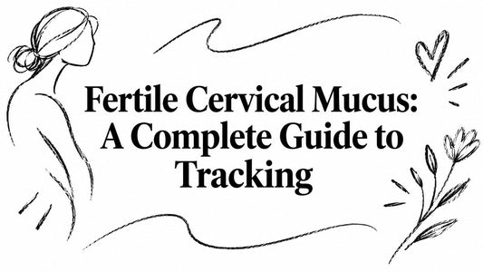 Fertile Cervical Mucus: A Complete Guide to Tracking