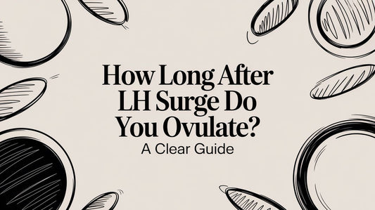 How Long After LH Surge Do You Ovulate? A Clear Guide
